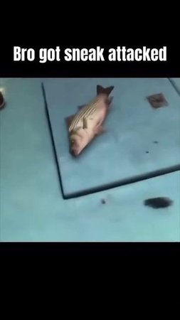 Большой жук в роте