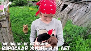 ВСЁ ПОШЛО НЕ ПО ПЛАНУ!