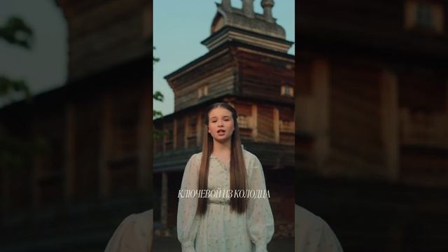 video-220724968_456240052-1080