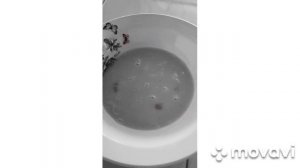 приготовление еды и обрезка веток для шишлыка