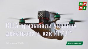 США призывали Украину действовать в стиле ИГИЛ*