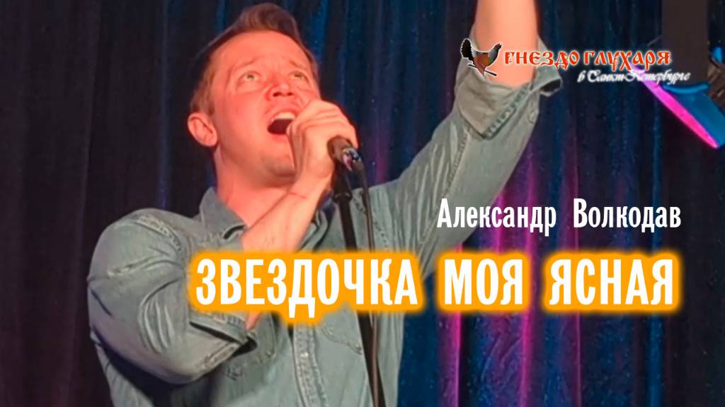 "ЗВЁЗДОЧКА МОЯ ЯСНАЯ" Александр Волкодав - "Гнездо глухаря" Питер 28.06.2025 #александрволкодав