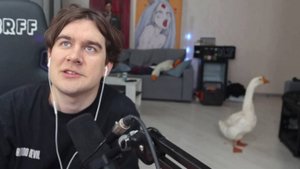 У БРАТИШКИНА В КОМНАТЕ ЖИВОЙ ГУСЬ