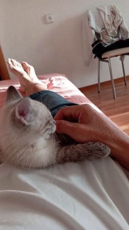 Ещё совсем детя)))