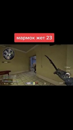 vladlen982212_7058304188903591170