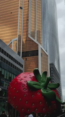 Москва Сити