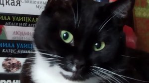Какой чудесный день! И я - тоже! 🐱1000008884.mp4