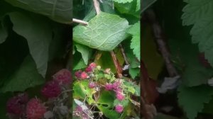 Как у нас один день проходит