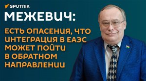 Межевич: основные возможности интеграции в ЕАЭС во многом уже использованы