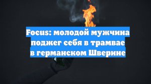 Focus: молодой мужчина поджег себя в трамвае в германском Шверине