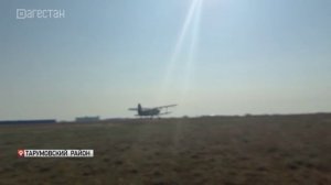 Более 25 тыс. га сельхозугодий обработано против саранчи в Дагестане