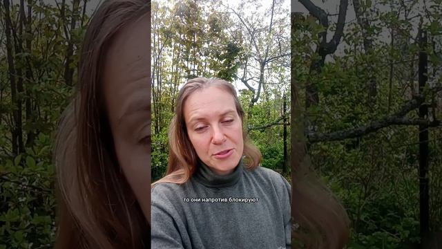 ✨Магия фитоэстрогенов! ✨Тофу и семена льна: как они работают на самом деле? 🌿🤯