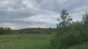 Поле