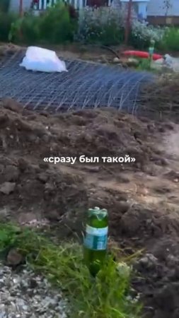 За каждым красивым пейзажем стоит множество часов упорного труда. ❤️