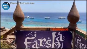 Студия «Новая Луна»