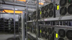 Майнинг-ферма в Петербурге нанесла ущерб почти на 10 млн рублей