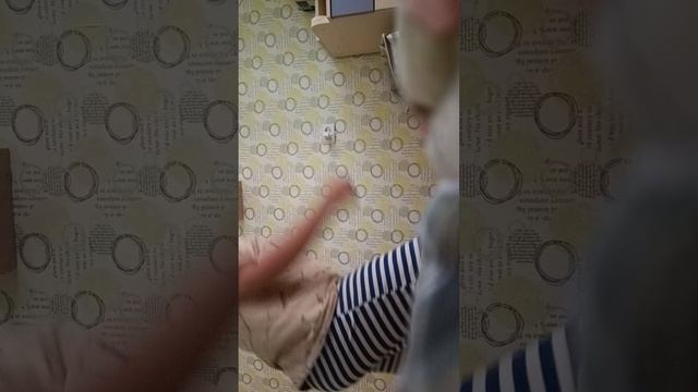 футбол
