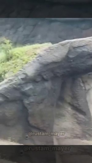 прикол