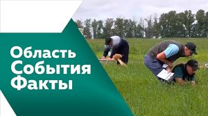 ОБЛАСТЬ. СОБЫТИЯ. ФАКТЫ. № 512