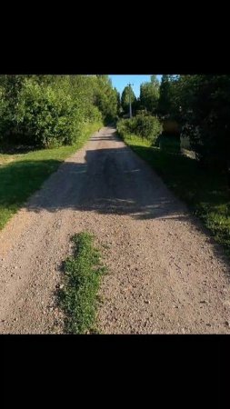 «Злой, бесстрашный Волкодав»