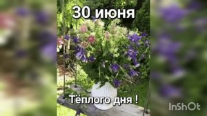 1000092610.mp4