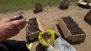 Разговорное видео на тему безопасности и обучающее видео
