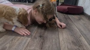 Собаканападение