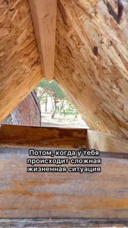 Найди свою возможность #shorts
