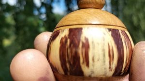 Шкатулка в июньском лесу среди берез