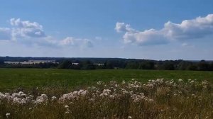 "Малиновый звон" - исполняет Арт-Группа "Яблоневый цвет" Юлия и Елена Коротковы