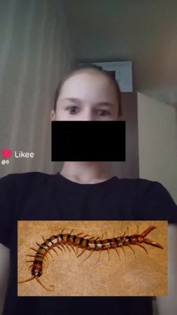 Я ДИКО БОЮСЬ ИХ!