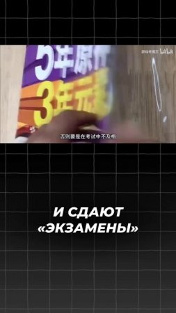 БАКАЛАВР - ГЕНШИНОЛОГ #shorts #информатика