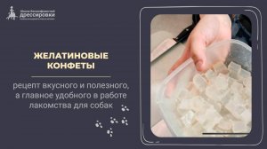 Рецепт желатиновых конфеток для тренировок с собакой