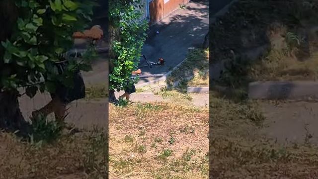 Легко и просто... #shorts