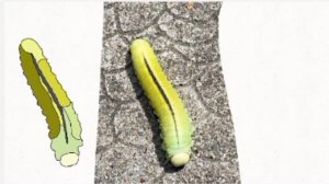 Реальность но это рисунки