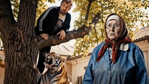 Бабушка и тигр прикольное видео. Юмор, приколы, смешно. Бабуля с тигром во дворе
