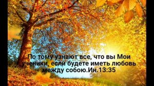 Надо мною лист кружится.