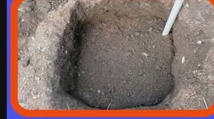 Виноград. Подготовка места для посадки саженцев.