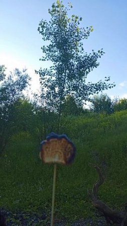 выходные на природе