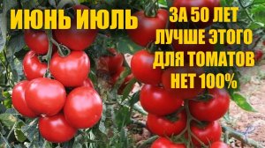 Я был в полном недоумении! Даже мёртвые помидоры, огурцы и перцы начали плодоносить с невероятной...