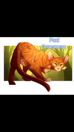 #кв#тыпельмень#рапапа#котывоители#зз