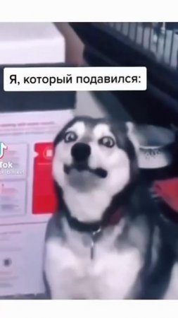 Жена только уложила детей спать и я который подавился