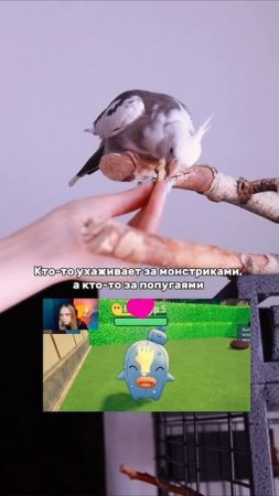 Такие милые 😍