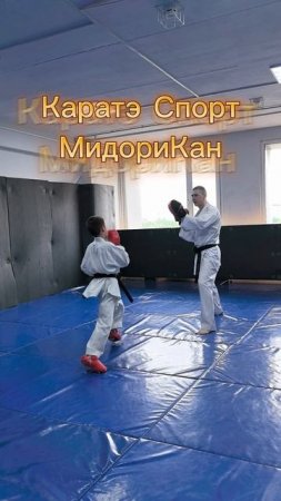 Удары ногами в Каратэ Спорт