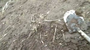 МЕСТО СТАРОЕ, А НАХОДКИ НОВЫЕ!!! Поиск монет с Minelab X-Terra 705...2020..