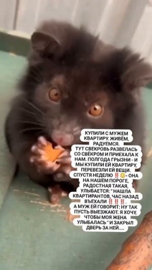 и так бывает