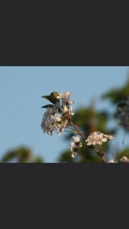 Лучшие фотографии на Fujifilm FinePix HS25EXR (первая серия)