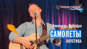 "САМОЛЁТЫ" (акустика) Александр Волкодав - "Гнездо глухаря" Питер 28.06.2025 #александрволкодав