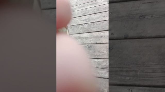 1000025655.mp4