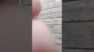 1000025655.mp4